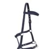 Kincade Nylon Padded Lunge Cavesson (Navy)