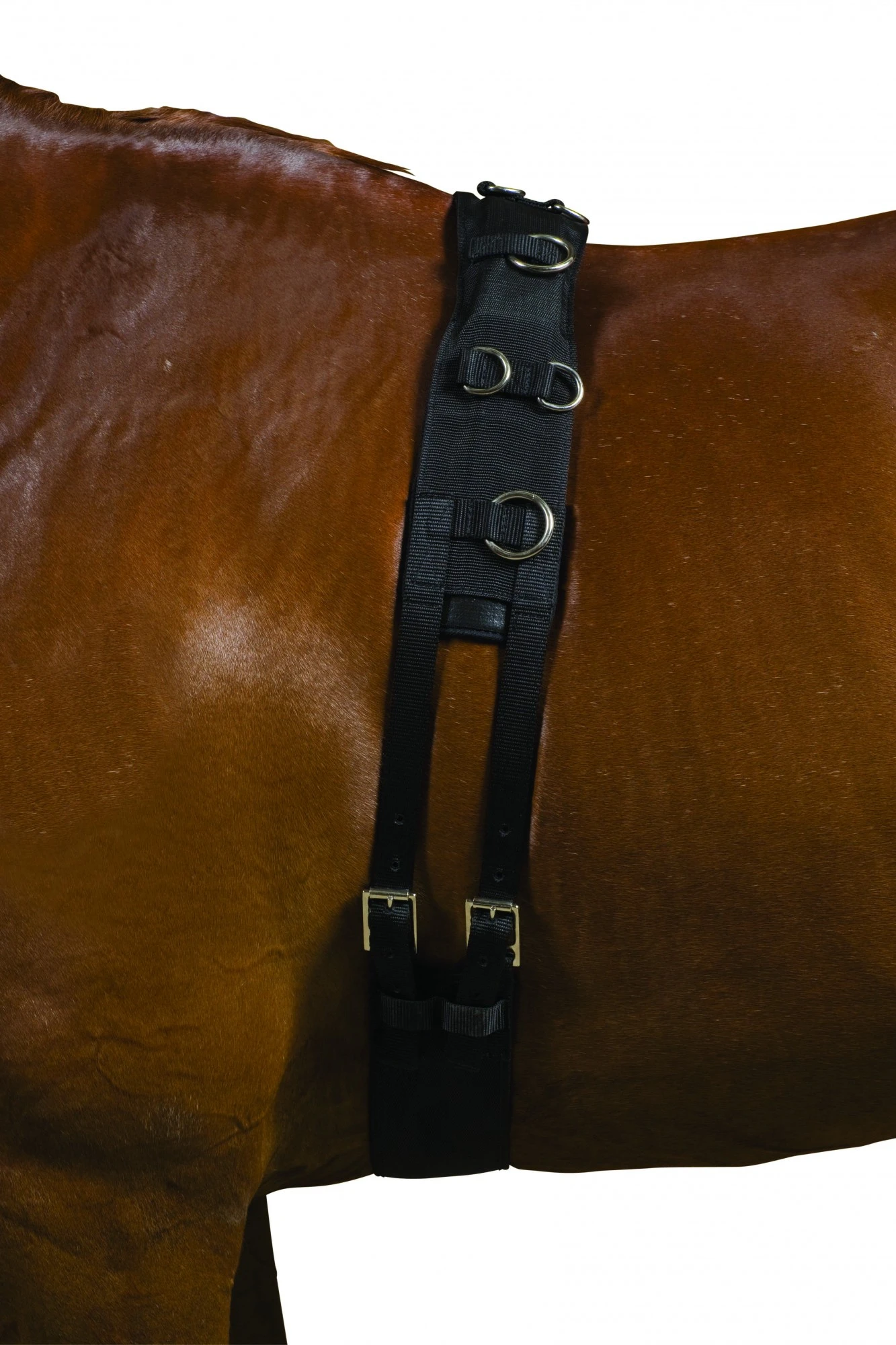 Kincade Deluxe Equigrip Lunge Roller (Black) 1 Kincade Deluxe Equigrip Lunge Roller (Black)