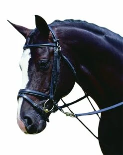 Kincade De Gogue (Black) -Professional Equestrian Shop 14202c