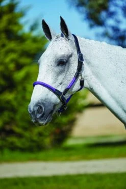 Kincade Leather Rope Headcollar (Purple/Black)