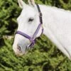 Kincade Deluxe Webbed Headcollar With Leather Crown (Purple)