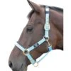 Hy Deluxe Padded Head Collar (Bright Blue)