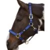 Hy Deluxe Padded Head Collar (Navy)