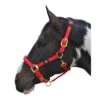 Hy Deluxe Padded Head Collar (Red)