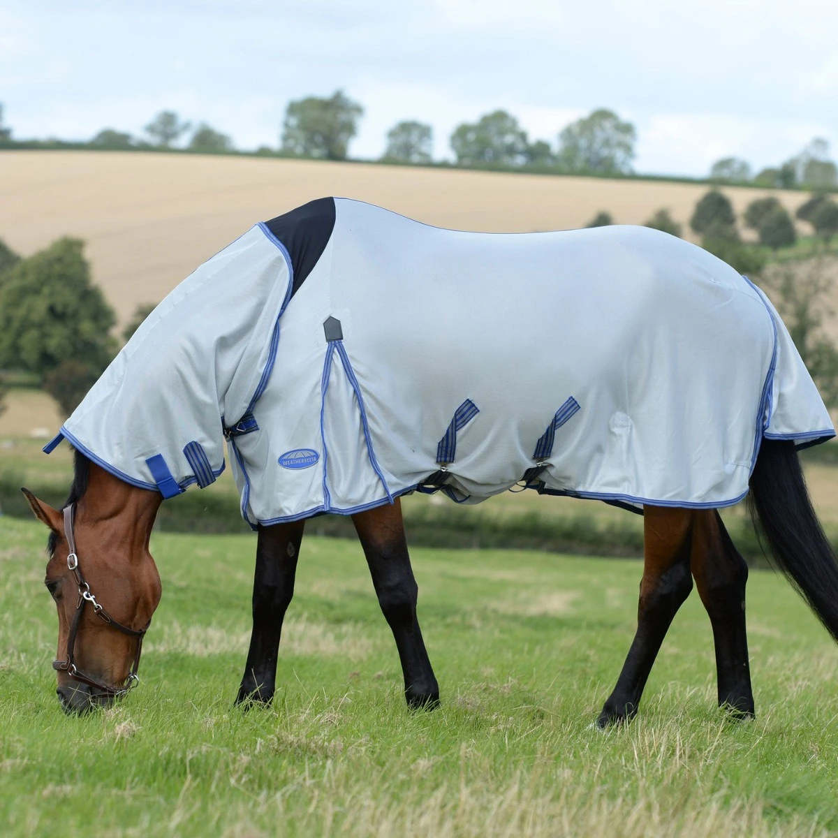 Weatherbeeta ComfiTec Airflow II Combo (Grey/Blue/Grey) 4 Weatherbeeta ComfiTec Airflow II Combo (Grey/Blue/Grey) - Image 4