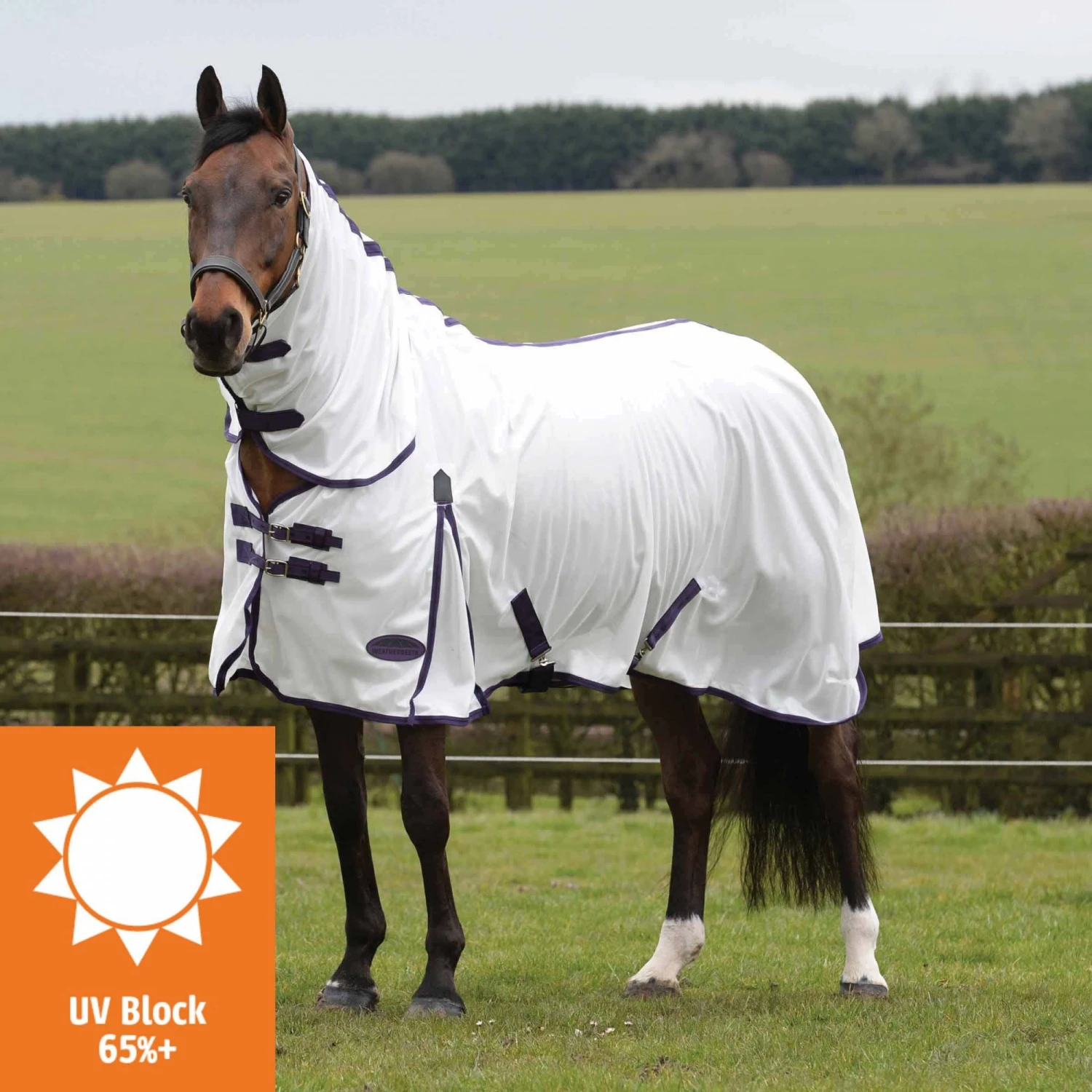 Weatherbeeta ComfiTec Essential Mesh II Combo (White/Purple/Black) 1 Weatherbeeta ComfiTec Essential Mesh II Combo (White/Purple/Black)