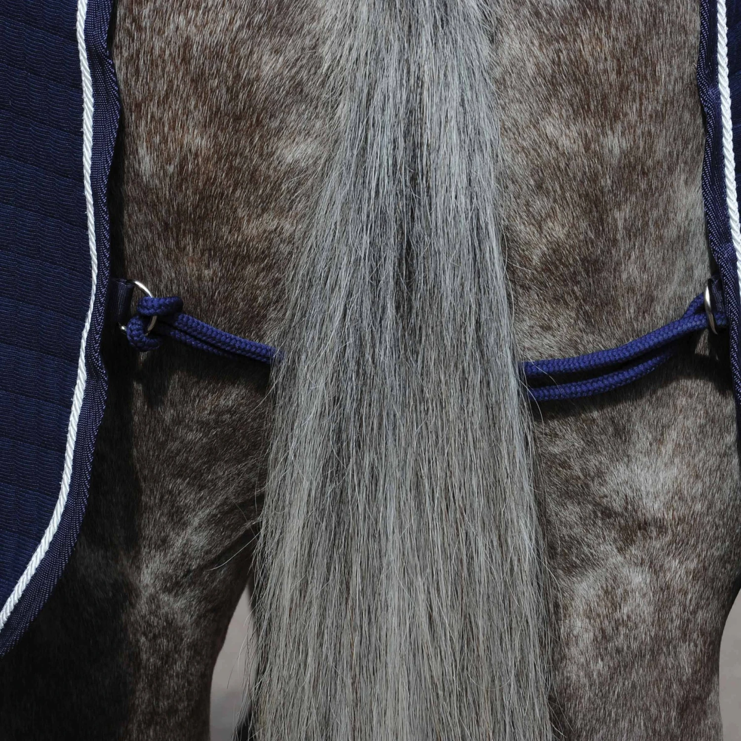 Weatherbeeta Thermocell Cooler Standard Neck (Navy/White) 5 Weatherbeeta Thermocell Cooler Standard Neck (Navy/White) - Image 5