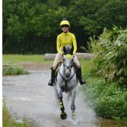 Woof Wear Fly Veil (Sunshine Yellow) -Professional Equestrian Shop 16698e