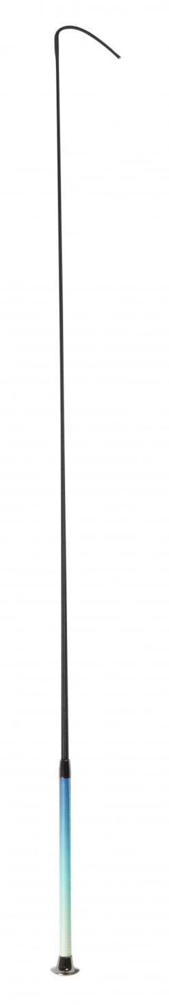 Dublin Ombre Dressage Whip (Oceans Reef)