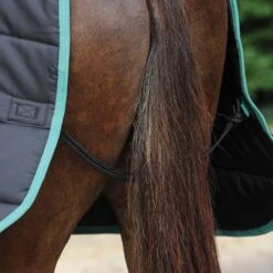 Weatherbeeta Green-Tec Stable Rug Standard 150g Med/Lite (Black/Bottle Green) -Professional Equestrian Shop 17120g