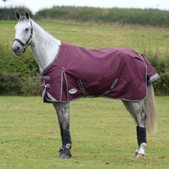 Weatherbeeta ComfiTec Plus Dynamic II Turnout Standard 0g Light (Maroon) 14 Weatherbeeta ComfiTec Plus Dynamic II Turnout Standard 0g Light (Maroon) -Professional Equestrian Shop 17121f