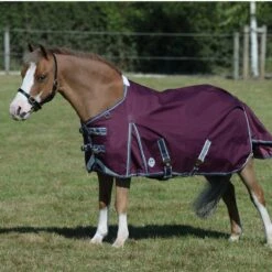 Weatherbeeta ComfiTec Plus Dynamic II Turnout Standard 0g Light (Maroon) 16 Weatherbeeta ComfiTec Plus Dynamic II Turnout Standard 0g Light (Maroon) -Professional Equestrian Shop 17121h