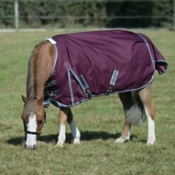 Weatherbeeta ComfiTec Plus Dynamic II Turnout Standard 0g Light (Maroon) 17 Weatherbeeta ComfiTec Plus Dynamic II Turnout Standard 0g Light (Maroon) -Professional Equestrian Shop 17121i