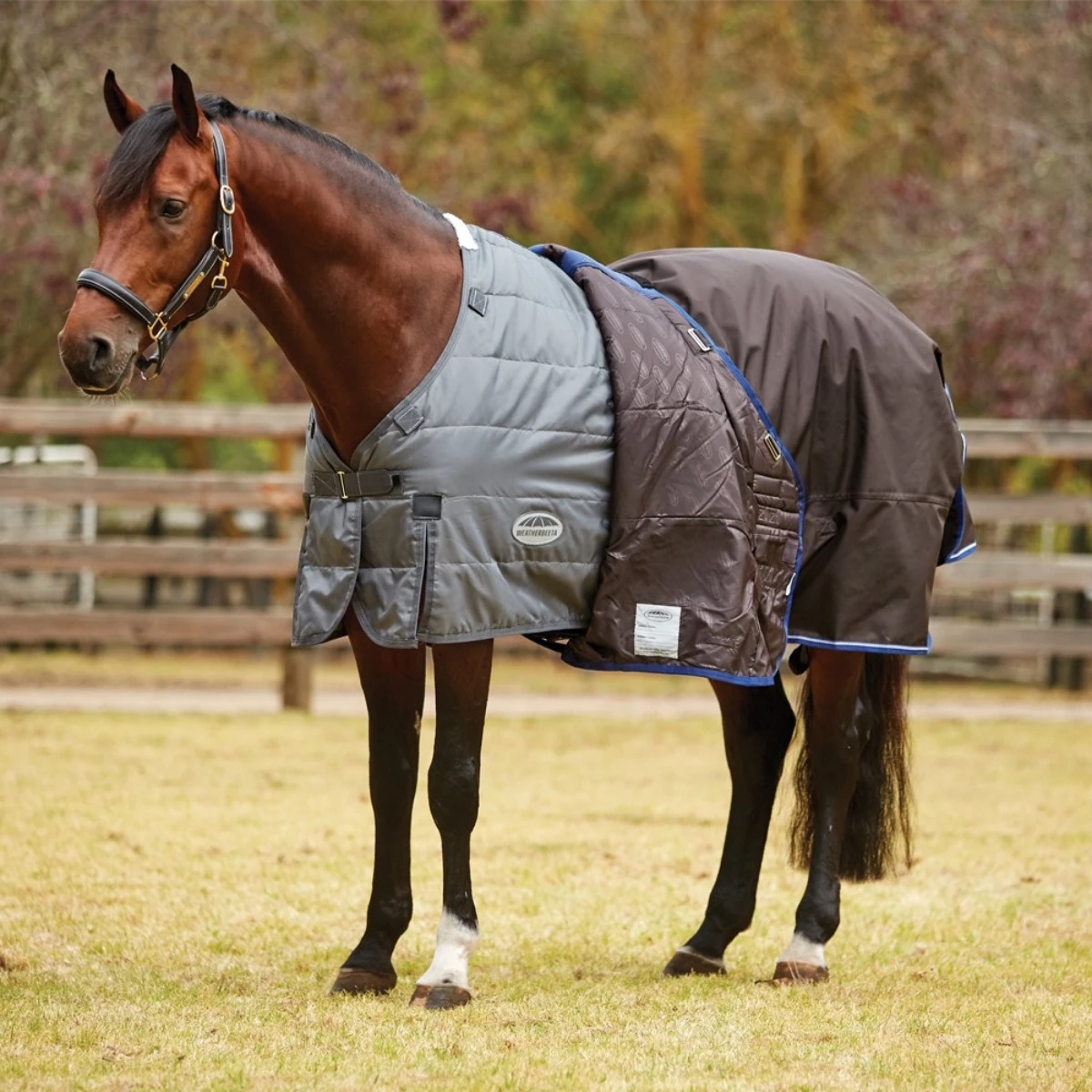 Weatherbeeta ComfiTec Ultra Cozi II Turnout Detach Neck 100g Med/Lite (Charcoal) 1 Weatherbeeta ComfiTec Ultra Cozi II Turnout Detach Neck 100g Med/Lite (Charcoal)