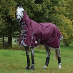 Weatherbeeta ComfiTec Plus Dynamic II Turnout Combo 220g Medium (Maroon) 15 Weatherbeeta ComfiTec Plus Dynamic II Turnout Combo 220g Medium (Maroon) -Professional Equestrian Shop 17137f