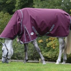 Weatherbeeta ComfiTec Plus Dynamic II Turnout Combo 0g Light (Maroon) 13 Weatherbeeta ComfiTec Plus Dynamic II Turnout Combo 0g Light (Maroon) -Professional Equestrian Shop 17139d