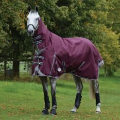 Weatherbeeta ComfiTec Plus Dynamic II Turnout Combo 0g Light (Maroon) 14 Weatherbeeta ComfiTec Plus Dynamic II Turnout Combo 0g Light (Maroon) -Professional Equestrian Shop 17139e
