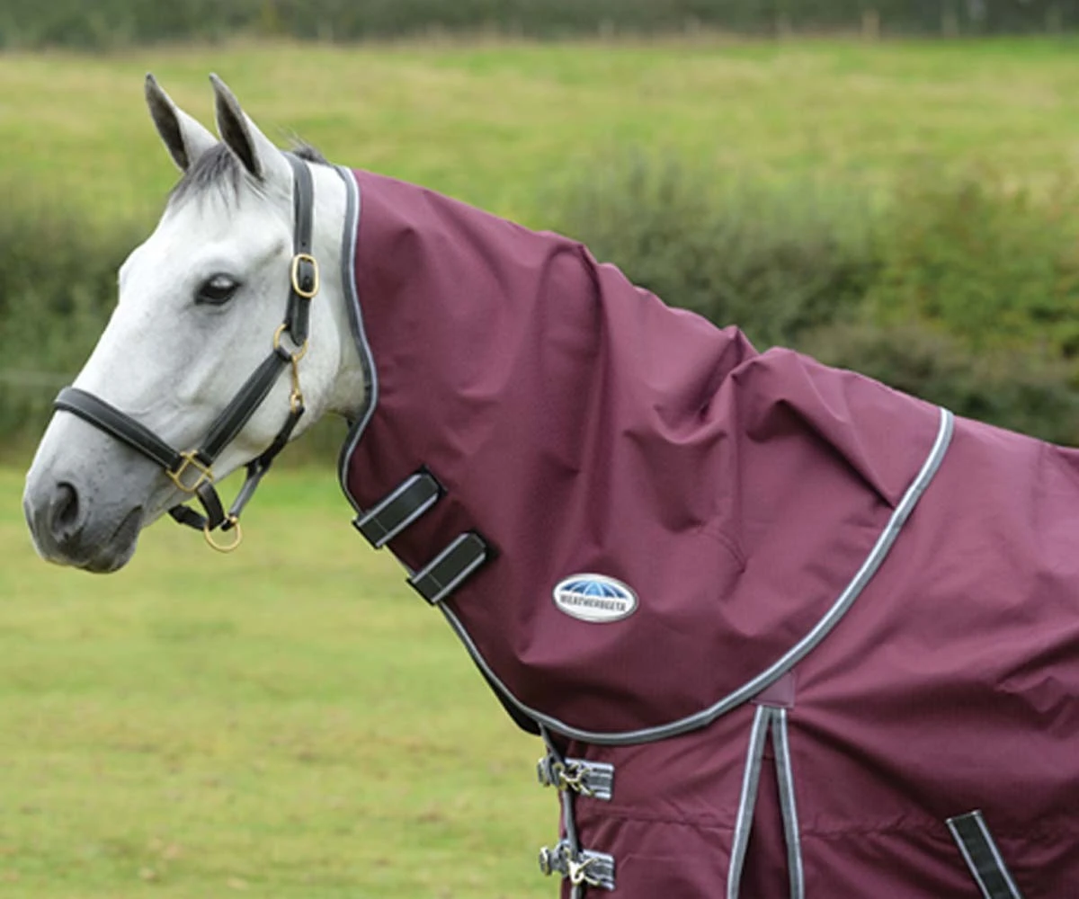 Weatherbeeta ComfiTec - Plus Dynamic II Turnout - Neck Cover - Medium (Maroon) 1 Weatherbeeta ComfiTec - Plus Dynamic II Turnout - Neck Cover - Medium (Maroon)
