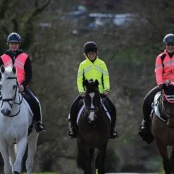 Weatherbeeta Childs Reflective Lightweight Waterproof Jacket (Yellow) -Professional Equestrian Shop 17270c