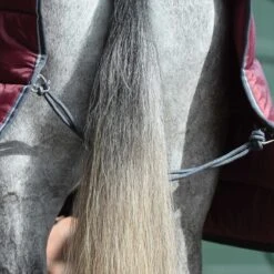 Weatherbeeta ComfiTec 210D Channel Quilt Stable Rug Combo 400g Heavy (Maroon) 13 Weatherbeeta ComfiTec 210D Channel Quilt Stable Rug Combo 400g Heavy (Maroon) -Professional Equestrian Shop 17326f