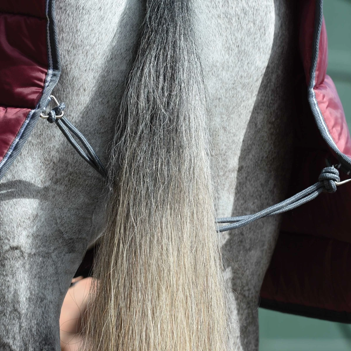 Weatherbeeta ComfiTec 210D Channel Quilt Stable Rug Combo 400g Heavy (Maroon) 6 Weatherbeeta ComfiTec 210D Channel Quilt Stable Rug Combo 400g Heavy (Maroon) - Image 6