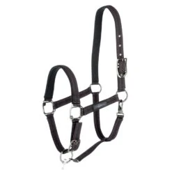 Covalliero GoLeyGo Headcollar (Black/Purple)