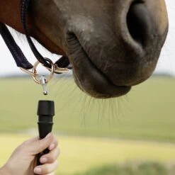 Covalliero GoLeyGo Headcollar (Brown/Blue) -Professional Equestrian Shop 17523c