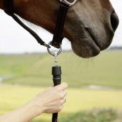 Covalliero GoLeyGo Headcollar (Brown/Blue) -Professional Equestrian Shop 17523d