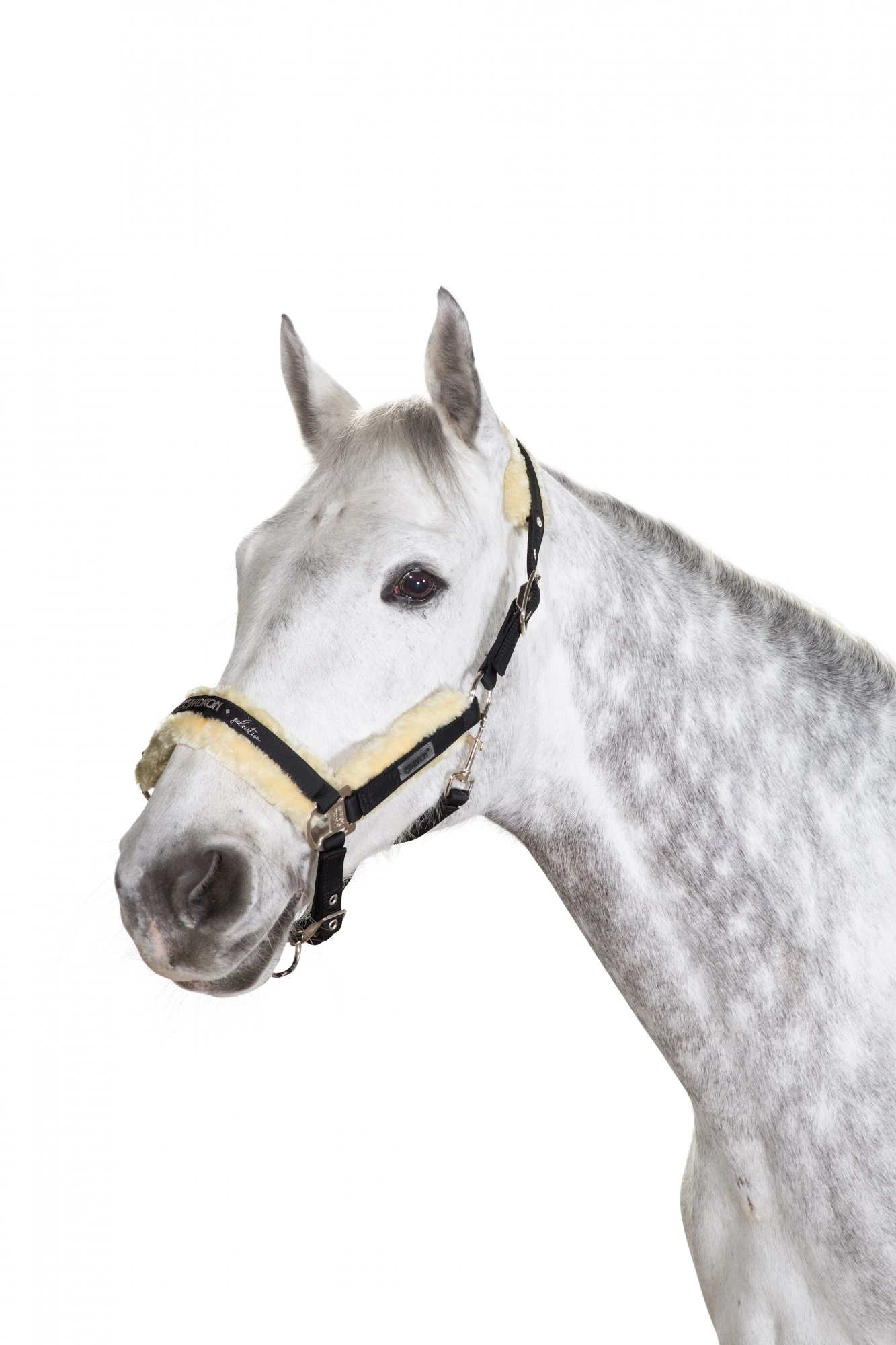 Eskadron Glossy Faux Fur Headcollar (Black) 1 Eskadron Glossy Faux Fur Headcollar (Black)