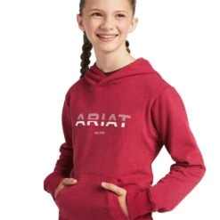 Ariat Youth's 3D Logo 2.0 Hoodie (Red Bud) -Professional Equestrian Shop 18129d