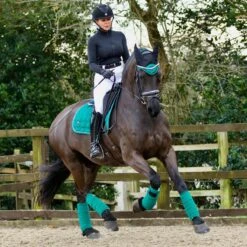 Woof Wear Vision Fly Veil (British Racing Green) 7 Woof Wear Vision Fly Veil (British Racing Green) -Professional Equestrian Shop 18147d