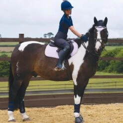 Woof Wear GP Saddle Cloth (Lilac) 5 Woof Wear GP Saddle Cloth (Lilac) -Professional Equestrian Shop 18170c