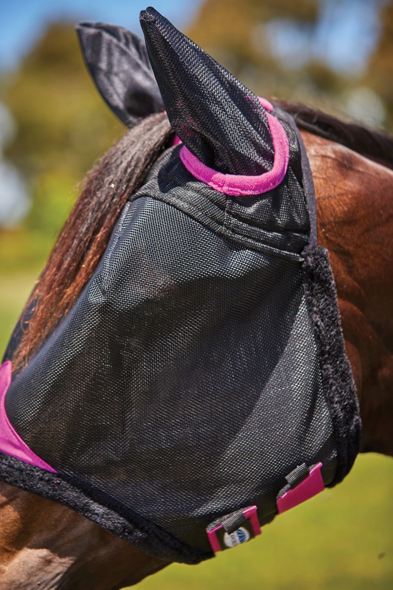 Weatherbeeta Comfitec Deluxe Durable Mesh Mask With Ears (Black/Purple) 2 Weatherbeeta Comfitec Deluxe Durable Mesh Mask With Ears (Black/Purple) - Image 2