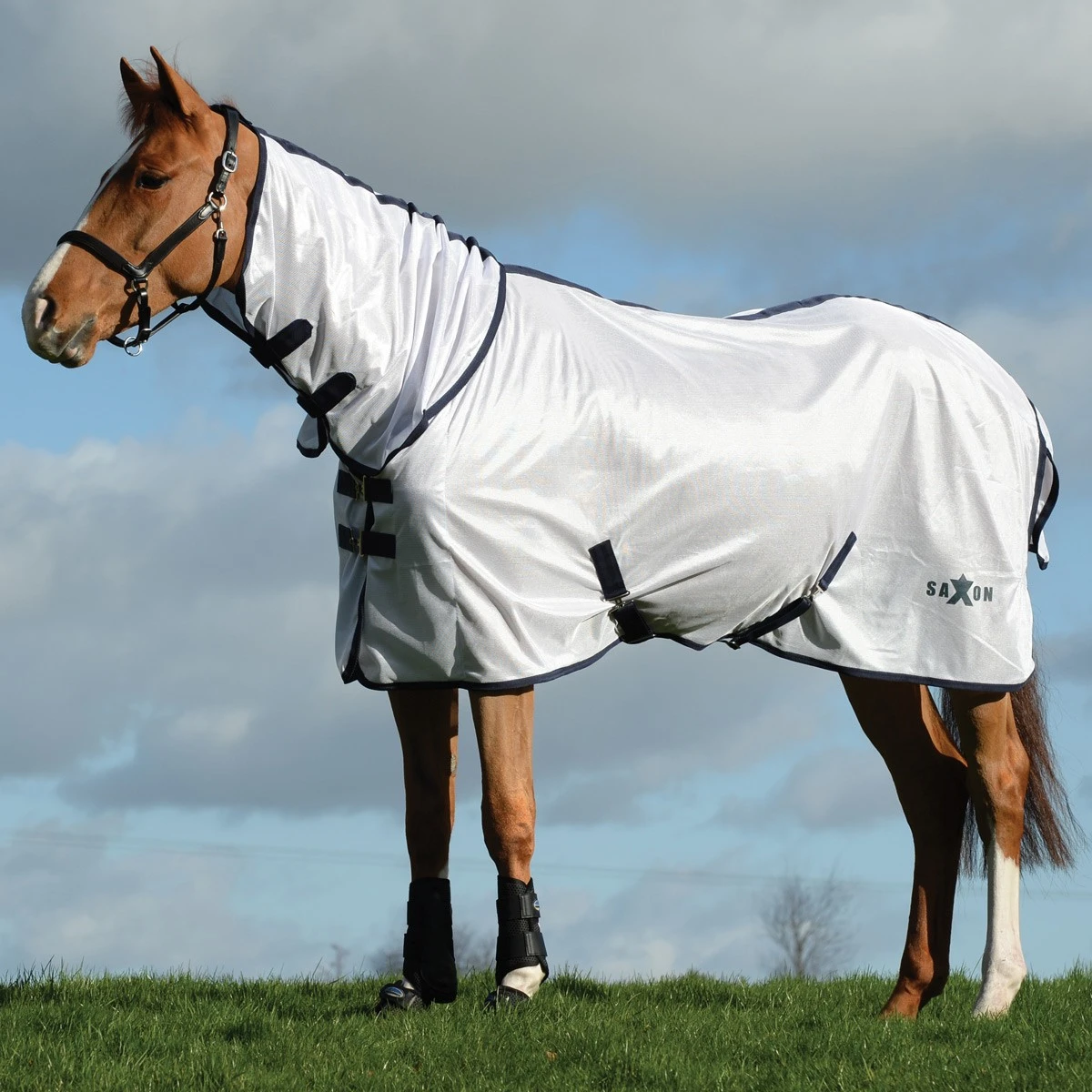 Saxon Mesh Combo Neck Fly Rug (White/Navy) 1 Saxon Mesh Combo Neck Fly Rug (White/Navy)