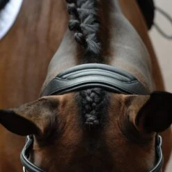 Collegiate Comfitec Vogue Anatomical Bridle (Black) -Professional Equestrian Shop 18464c