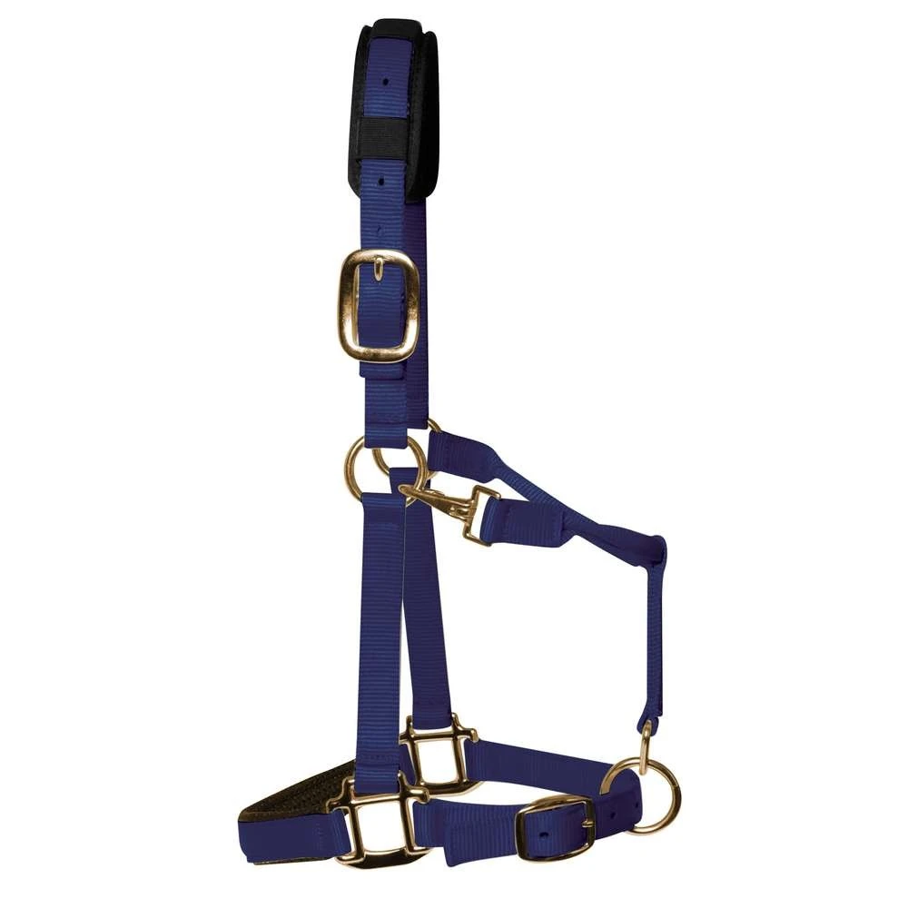 KM Elite Padded Headcollar (Navy) 1 KM Elite Padded Headcollar (Navy)
