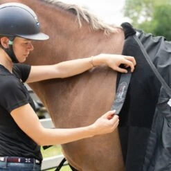 Equilibrium Magnetic Rug (Black) -Professional Equestrian Shop 19098c