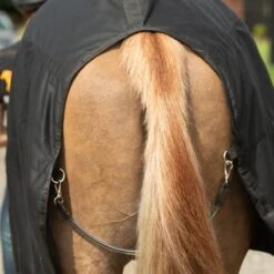 Equilibrium Magnetic Rug (Black) -Professional Equestrian Shop 19098i