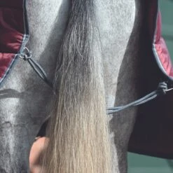 Weatherbeeta Comfitec 210D Channel Quilt Stable Rug Combo Neck 250g Medium (Maroon/Grey/White) -Professional Equestrian Shop 19208f