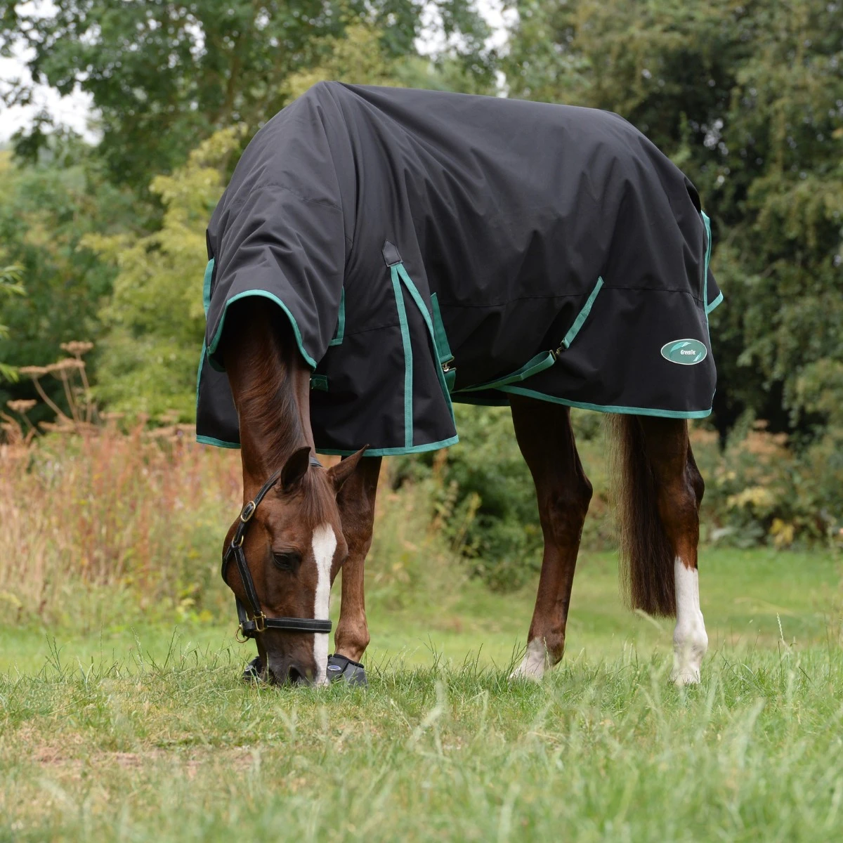 Weatherbeeta Green-Tec 900D Turnout Combo Neck 50g Lite Plus (Black/Bottle Green) 2 Weatherbeeta Green-Tec 900D Turnout Combo Neck 50g Lite Plus (Black/Bottle Green) - Image 2