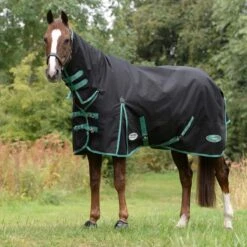 Weatherbeeta Green-Tec 900D Turnout Combo Neck 50g Lite Plus (Black/Bottle Green) 6 Weatherbeeta Green-Tec 900D Turnout Combo Neck 50g Lite Plus (Black/Bottle Green) -Professional Equestrian Shop 19695c