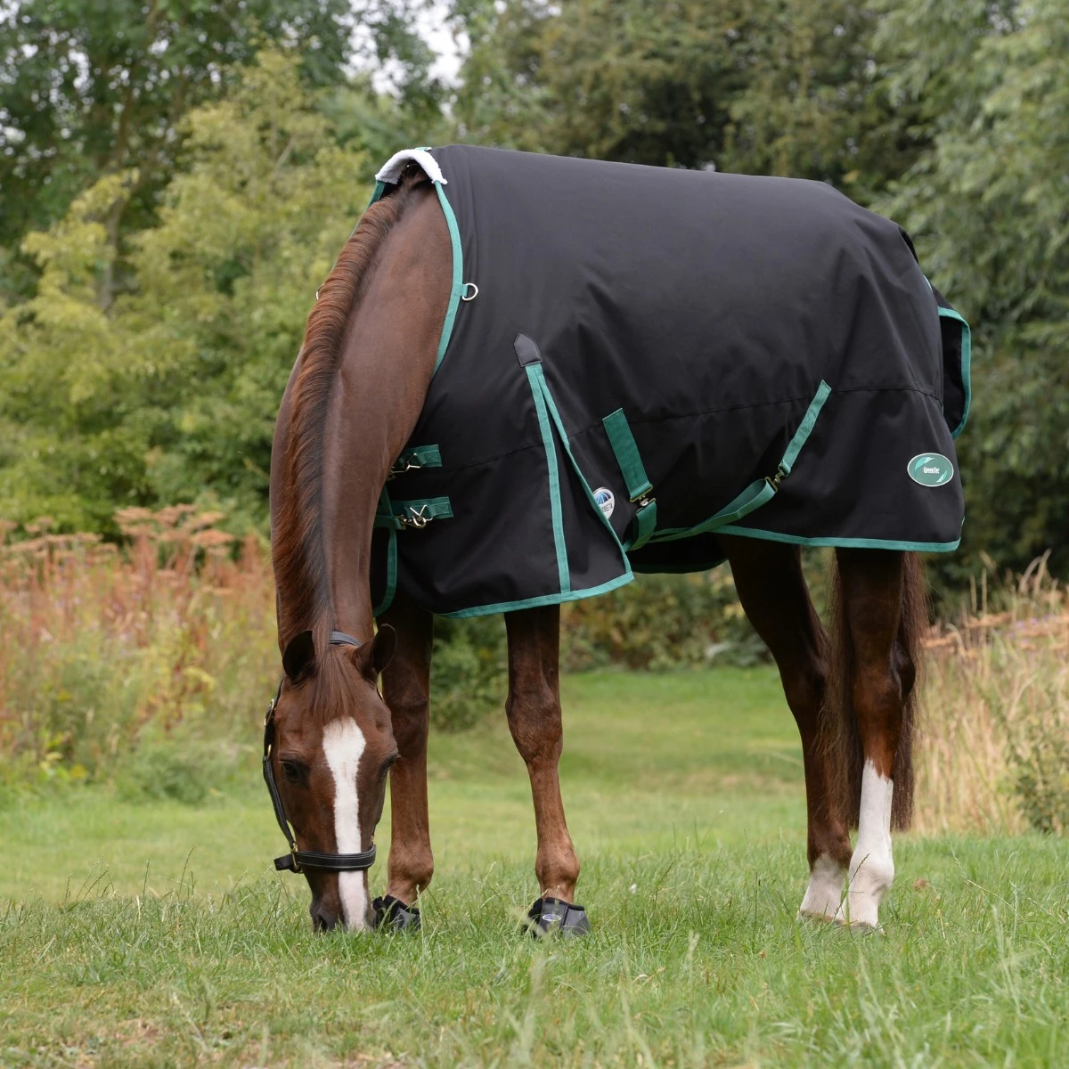 Weatherbeeta Green-Tec 900D Turnout Standard Neck 50g Lite Plus (Black/Bottle Green) 1 Weatherbeeta Green-Tec 900D Turnout Standard Neck 50g Lite Plus (Black/Bottle Green)