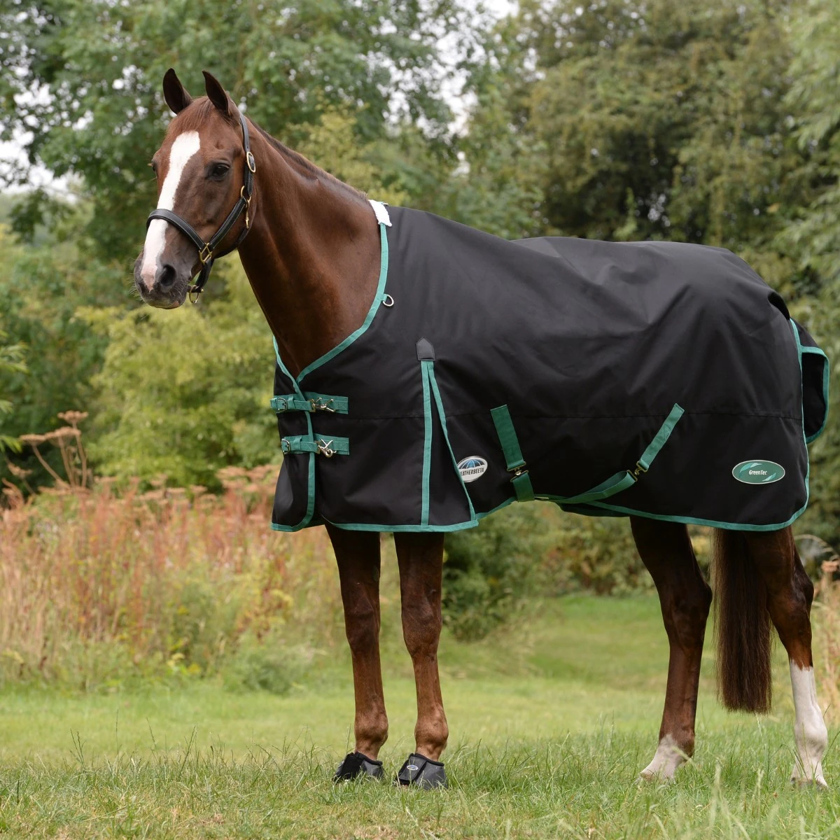 Weatherbeeta Green-Tec 900D Turnout Standard Neck 50g Lite Plus (Black/Bottle Green) 2 Weatherbeeta Green-Tec 900D Turnout Standard Neck 50g Lite Plus (Black/Bottle Green) - Image 2