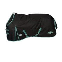 Weatherbeeta Green-Tec 900D Turnout Standard Neck 50g Lite Plus (Black/Bottle Green) 5 Weatherbeeta Green-Tec 900D Turnout Standard Neck 50g Lite Plus (Black/Bottle Green) -Professional Equestrian Shop 19696c