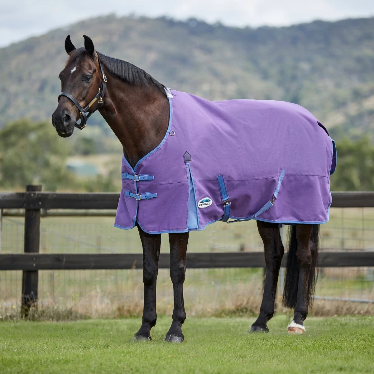 Weatherbeeta Comfitec Essential Turnout Standard Neck 0g Lite (Violet/Blue) 1 Weatherbeeta Comfitec Essential Turnout Standard Neck 0g Lite (Violet/Blue)