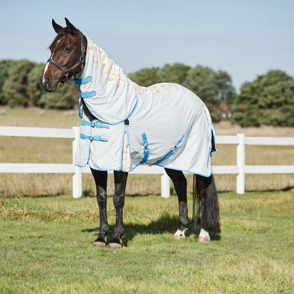 Weatherbeeta Summer Sheet Lite IV Combo Neck (Seahorse Print) 1 Weatherbeeta Summer Sheet Lite IV Combo Neck (Seahorse Print)