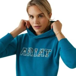 Ariat Womens 3D Logo 2.0 Hoodie (Mosaic Blue) -Professional Equestrian Shop 19917d