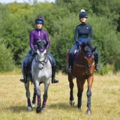 Woof Wear Vision Fly Veil (Damson) -Professional Equestrian Shop 20181c