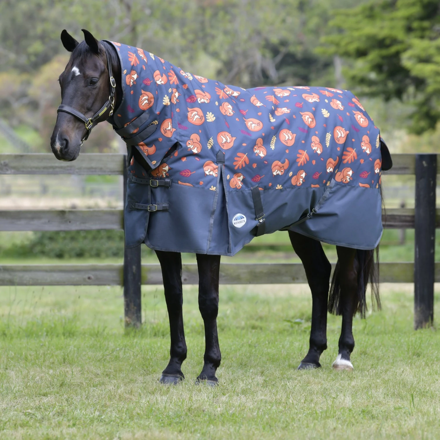 Weatherbeeta Comfitec Essential Combo Neck 220g Mediumweight Turnout (Squirrel Print) 1 Weatherbeeta Comfitec Essential Combo Neck 220g Mediumweight Turnout (Squirrel Print)