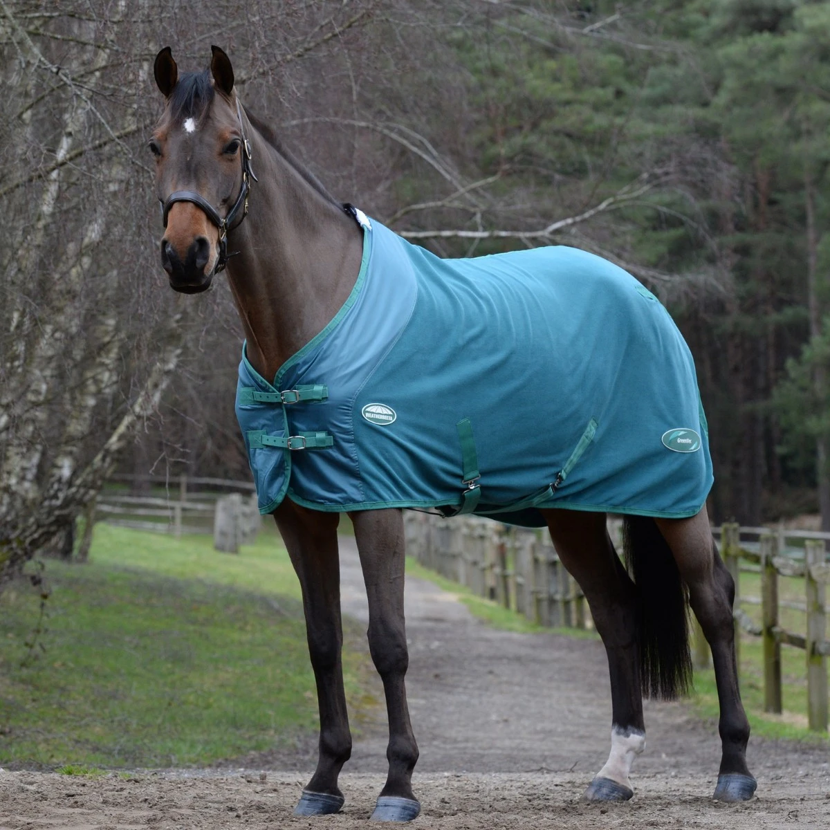 Weatherbeeta Green-Tec Fleece Cooler Standard Neck (Dragonfly Blue/Bottle Green) 1 Weatherbeeta Green-Tec Fleece Cooler Standard Neck (Dragonfly Blue/Bottle Green)